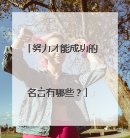 努力才能成功的名言有哪些?