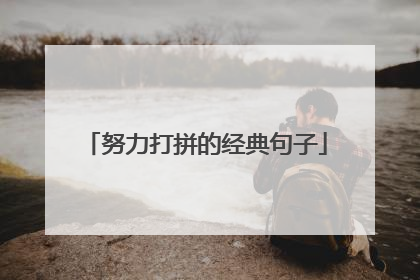 努力打拼的经典句子