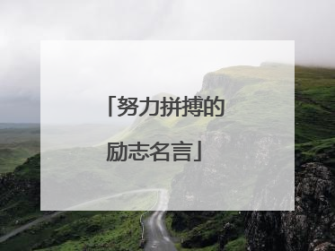 努力拼搏的励志名言