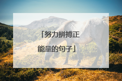 努力拼搏正能量的句子