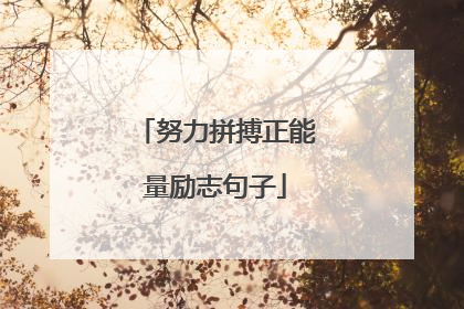 努力拼搏正能量励志句子