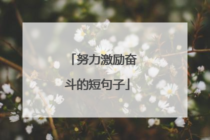 努力激励奋斗的短句子