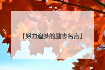 努力追梦的励志名言