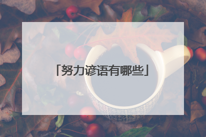 努力谚语有哪些