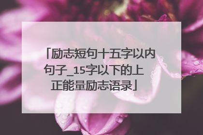 励志短句十五字以内句子_15字以下的上正能量励志语录
