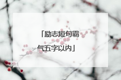 励志短句霸气五字以内