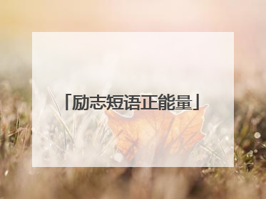 励志短语正能量