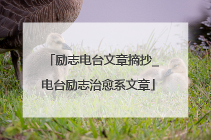 励志电台文章摘抄_电台励志治愈系文章