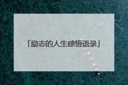 励志的人生感悟语录