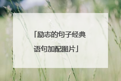 励志的句子经典语句加配图片