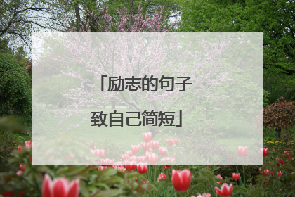 励志的句子致自己简短