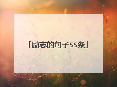 励志的句子55条