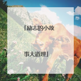 励志的小故事大道理