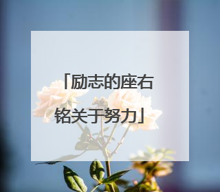 励志的座右铭关于努力