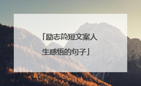 励志简短文案人生感悟的句子