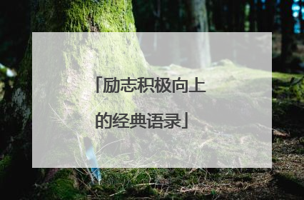 励志积极向上的经典语录