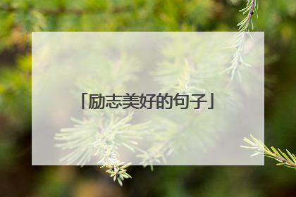 励志美好的句子