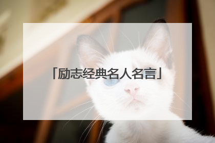 励志经典名人名言