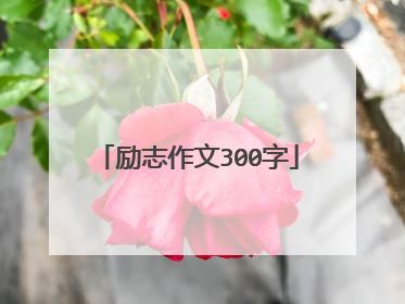 励志作文300字
