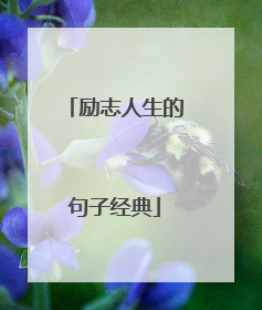 励志人生的句子经典
