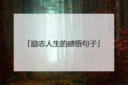 励志人生的感悟句子