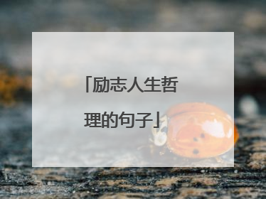 励志人生哲理的句子