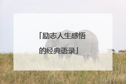 励志人生感悟的经典语录