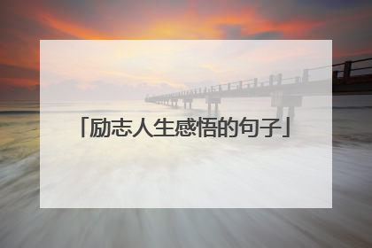 励志人生感悟的句子