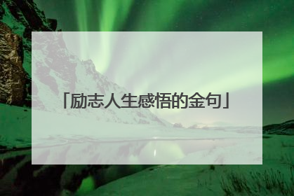 励志人生感悟的金句