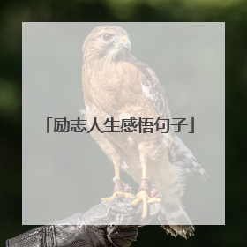 励志人生感悟句子