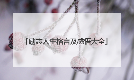 励志人生格言及感悟大全