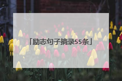 励志句子摘录55条