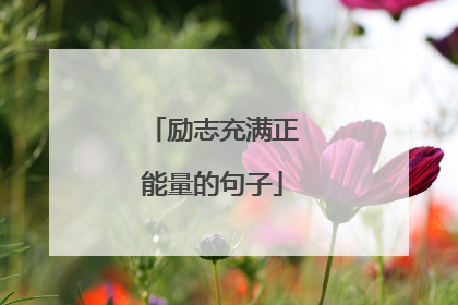 励志充满正能量的句子