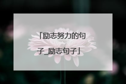 励志努力的句子_励志句子