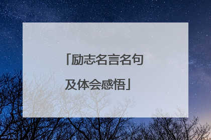 励志名言名句及体会感悟