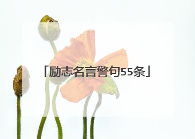 励志名言警句55条