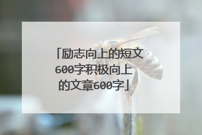 励志向上的短文600字积极向上的文章600字