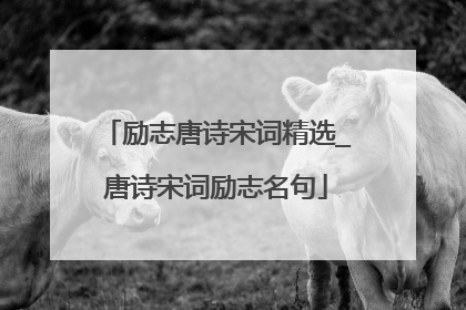 励志唐诗宋词精选_唐诗宋词励志名句