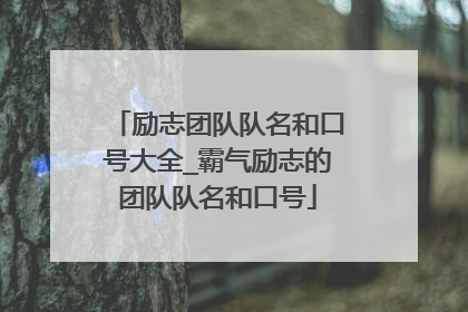 励志团队队名和口号大全_霸气励志的团队队名和口号