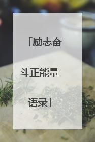 励志奋斗正能量语录