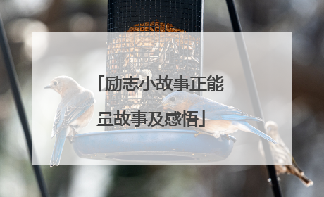 励志小故事正能量故事及感悟
