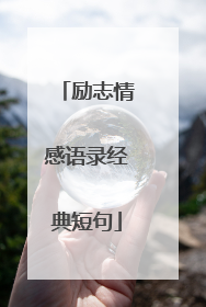 励志情感语录经典短句