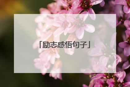 励志感悟句子