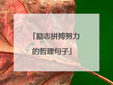 励志拼搏努力的哲理句子