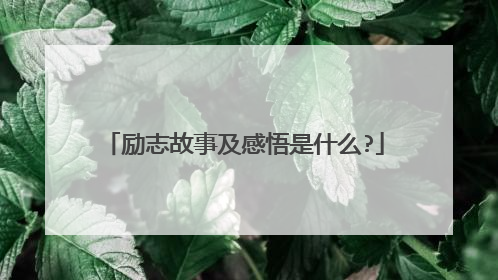 励志故事及感悟是什么?