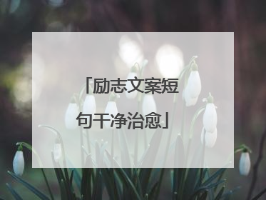 励志文案短句干净治愈
