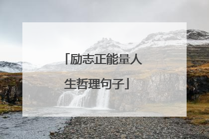 励志正能量人生哲理句子