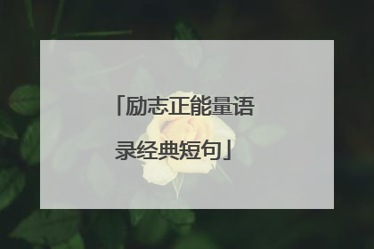 励志正能量语录经典短句
