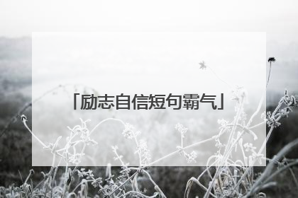 励志自信短句霸气