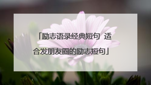 励志语录经典短句 适合发朋友圈的励志短句